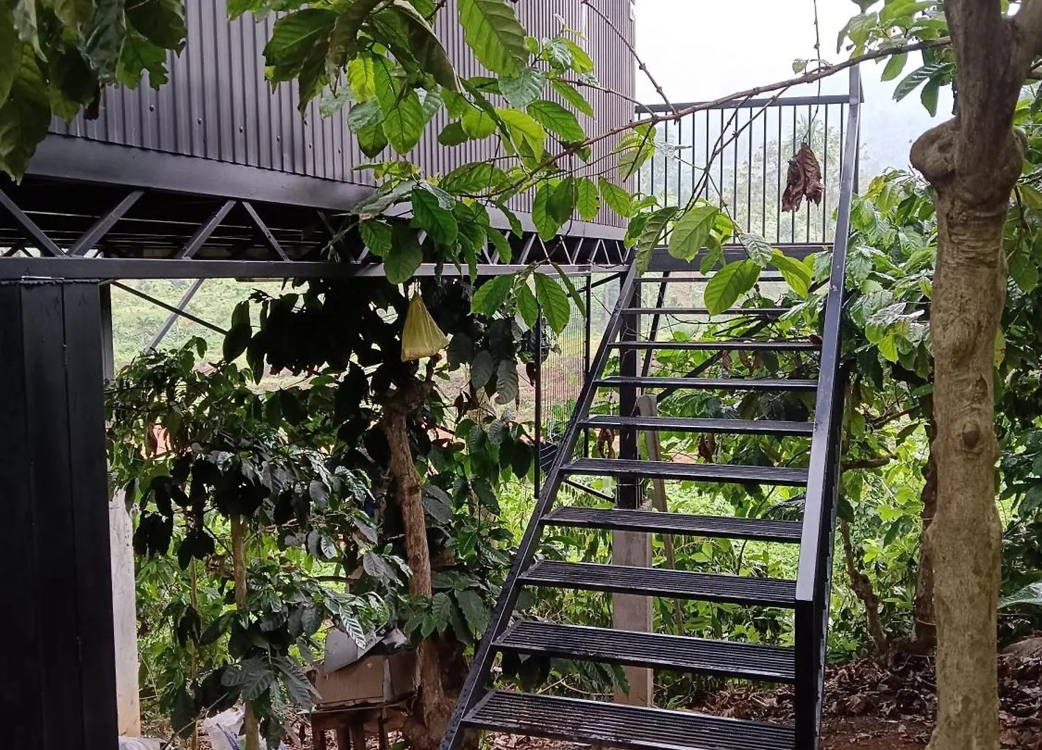 The Tree House Villa Vythiri