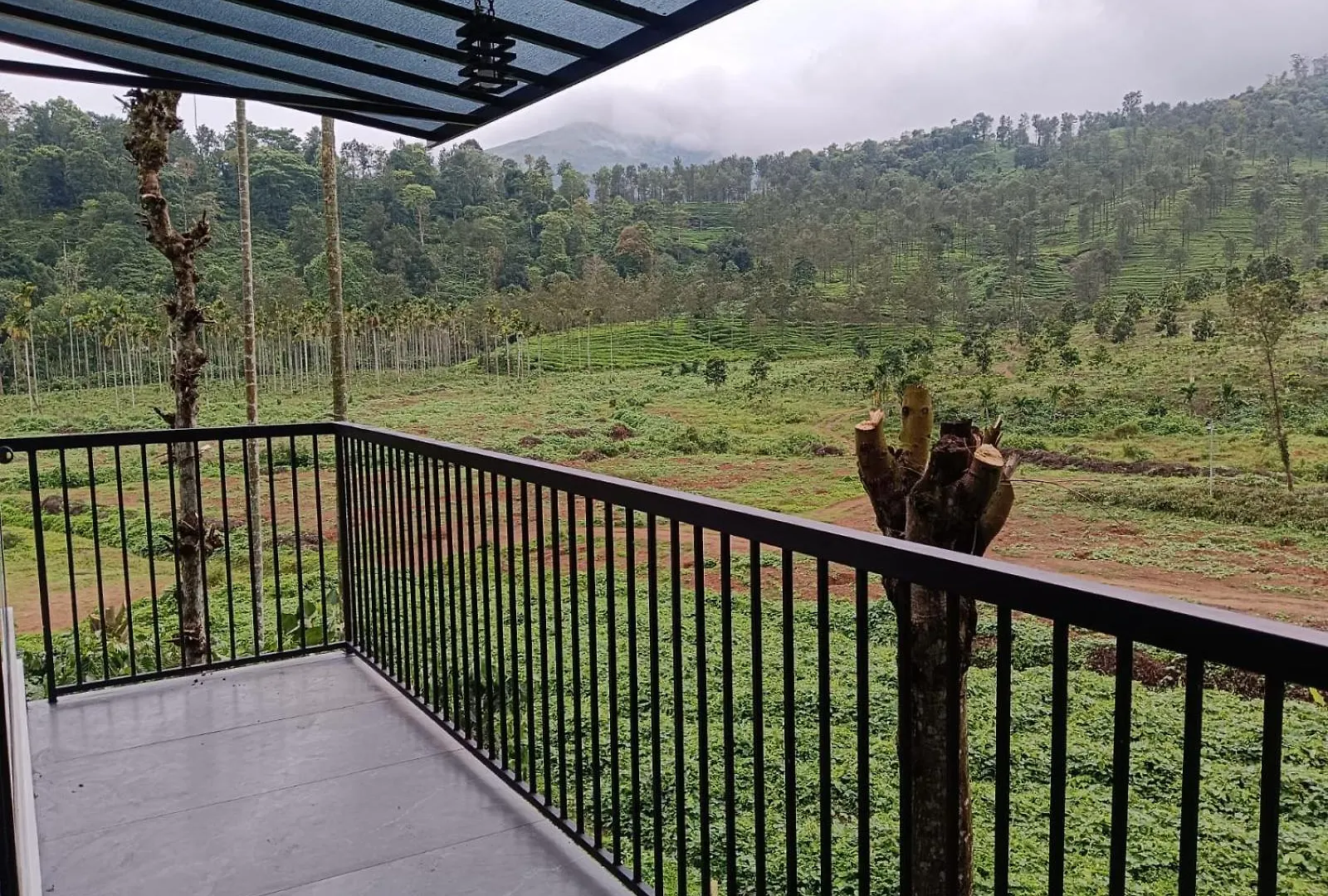 The Tree House Villa Vythiri